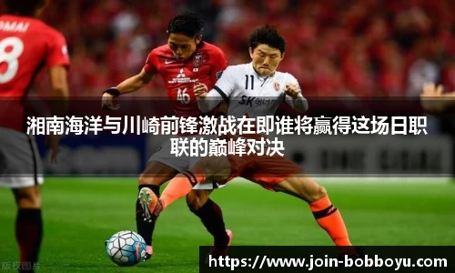 BOB博鱼体育登录入口